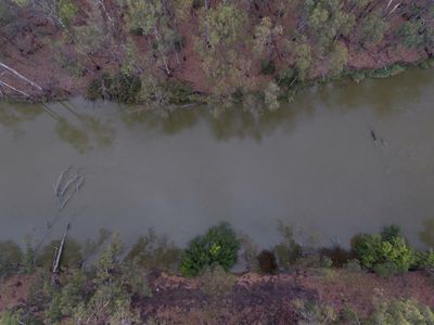 Irrigators urge Tanya Plibersek to avoid ‘war over water’ at Murray-Darling Basin plan meeting