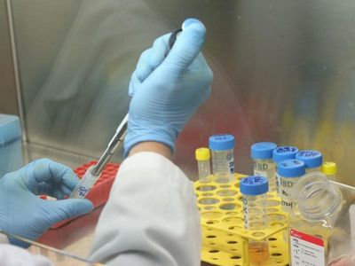 Contamination concern at Qld forensic lab