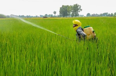 RSS farmer body Bharatiya Kisan Sangh to fight for ‘profitable price’ of crops