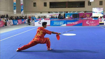 Wushu: Of crouching tigers and hidden potential