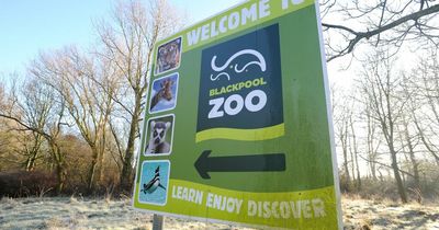 Blackpool Zoo visitor 'abused by guests' in row over disabled seating