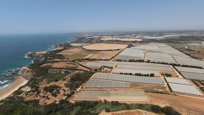 Agribusiness depletes soil and water in Portugal’s Alentejo