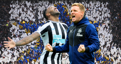 'Brought the whole city together' - Callum Wilson hails Eddie Howe's Newcastle United impact