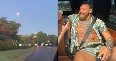 Conor McGregor freaks out at full moon in UFC star's latest concerning video