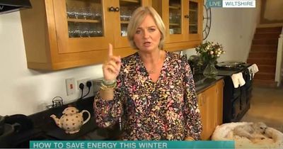 ITV This Morning viewers slam Alice Beer as she gives energy-saving 'lecture' in her 'big' home