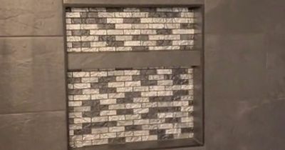 Woman returns home to find bumbling builder has plastered her cat into bathroom wall
