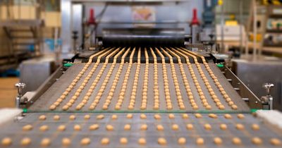 Biscuit maker Northumbrian Fine Foods boosted by imports as turnover rises