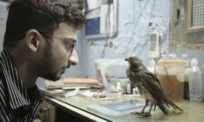 All That Breathes review – Delhi’s birdmen on a mission to save the black kite