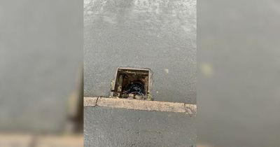 Parents worried children could fall into drains after grids stolen