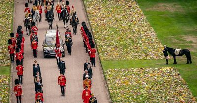 Royal Family issue update on Queen's favourite pony Emma after moving funeral tribute