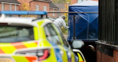 Man found dead in apartment block courtyard as police release statement