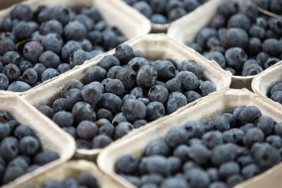 Why blueberries can make people sick