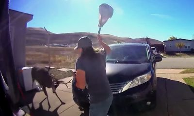 Watch: Deer gores woman in driveway, but deer gets more sympathy