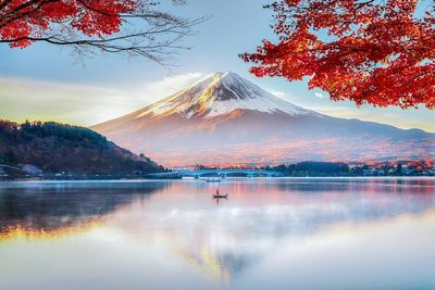 Japan reopening: What are the current travel rules and do I need a Covid test?