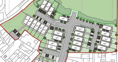 Housing development blighted by Japanese Knotweed given the green light
