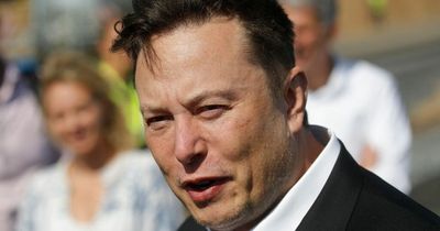 Elon Musk denies speaking to Vladimir Putin before Tweeting Ukraine peace plan