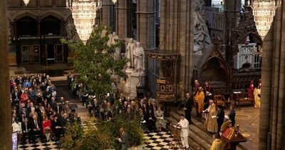 Trees to mark 200,000 lives lost to Covid at moving Westminster Abbey service