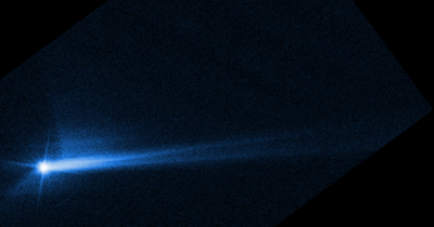 Nasa successfully diverts asteroid in first Earth defence test