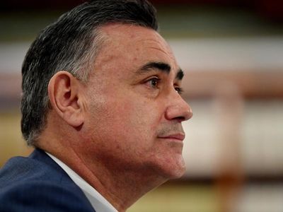 Former NSW deputy premier denies assault