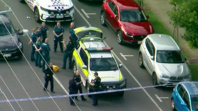 Queensland police had 'no other option', union president Ian Leavers says after fatal Brisbane shooting