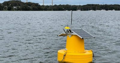 Smart buoy installed to test lake in wake of fish kills