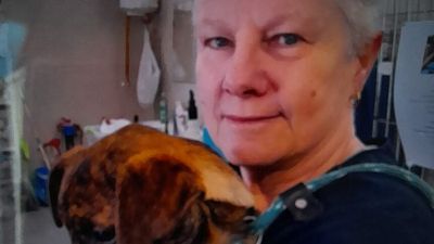 Victorian vets back home after treating animals in war-torn Ukraine