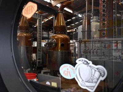 Huge growth in gin distillers and brewers