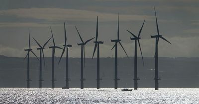 Government takes aim at wind farm profits with new rules