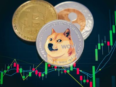 Dogecoin Gains Outshine Bitcoin, Ethereum: Analyst Says Apex Crypto Set For 'Major Rally' Once This Happens