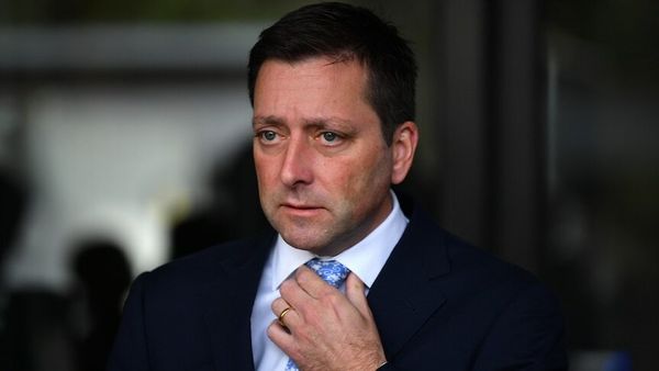 Liberal Party legal counsel quits as concerns raised over postal vote application forms