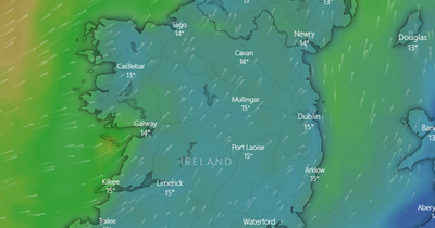 Met Eireann forecast says rain and gusty winds to hammer Ireland