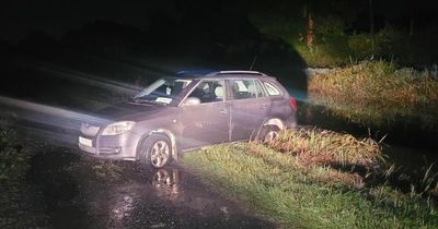 Driver almost reverses into canal as gardai make shock discovery at scene