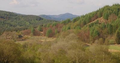 Members of the public asked to have their say on future of Kirroughtree Forest