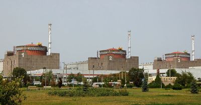Ukrainian nuclear plant loses power after being surrounded by Russian troops