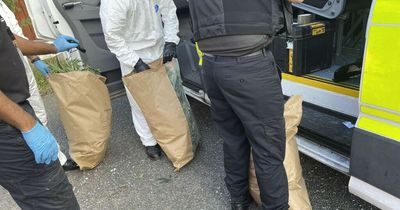 Cannabis farm with more than 50 plants uncovered near major Greater Manchester road
