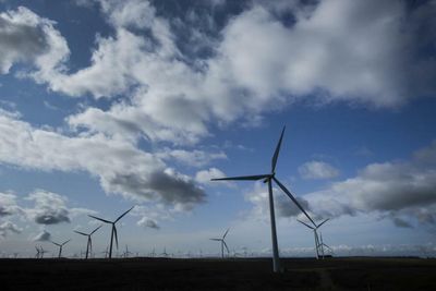 Tories target wind farms with revenue-capping rules in 'strange' new policy