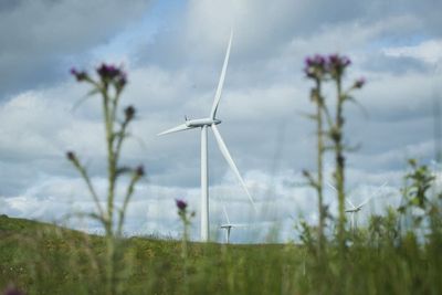 New cap on renewable energy revenue not a windfall tax, says Rees-Mogg