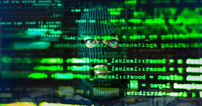 Cyber security firm Immersive Labs raises $66m in latest funding round