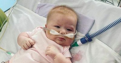 Mum says life is 'so, so cruel' as her baby is diagnosed with rare leukaemia