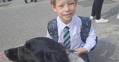 Dog saves family from tragedy as she spots boy is in danger of going into diabetic coma