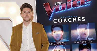 Niall Horan bags major gig as new coach on The Voice US