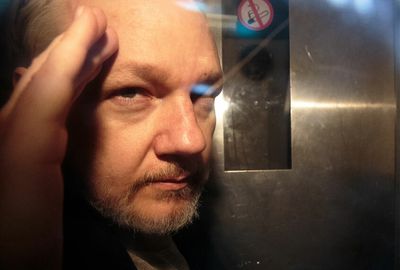 Julian Assange and the puppet-masters