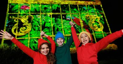 Sneak peek at Edinburgh Castle of Light winter display as tickets go on sale