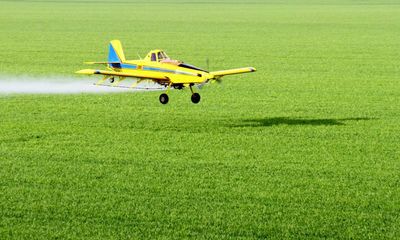 I am no fan of agricultural chemicals but without them food would cost much more