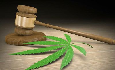 Watch | What are India’s drug laws?