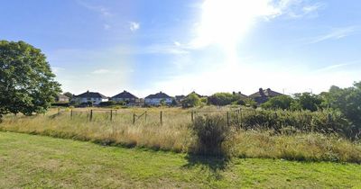 Field where 17 houses could be built branded 'not appropriate'