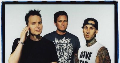 Why did Blink-182's original line-up split and why did Tom DeLonge leave the band?