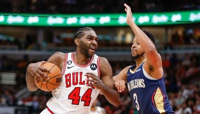 The preseason schedule has ended and the grades are in for the Bulls