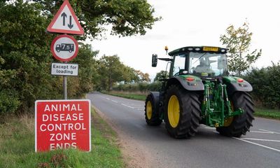 Poultry farmers call for birds to be kept inside to combat bird flu