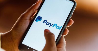 Google searches for ‘delete PayPal’ explodes after £2,200 fine warning to users